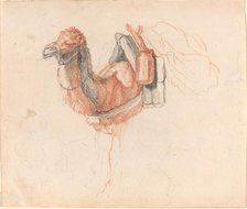 Camel, 1770s. Creator: Johann Rudolf Schellenburg.