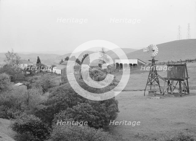 Small farm in the coast range foothills, Alameda County, California, 1939. Creator: Dorothea Lange.