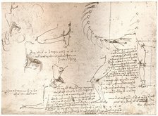 Sketches illustrating the theory of the proportions of the human figure, c1472-c1519 (1883). Artist: Leonardo da Vinci.