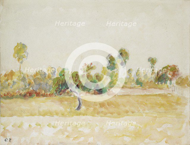 Study of the orchard at Eragny-sur-Epte, seen from the artist's house, c1886-1890. Artist: Camille Pissarro.