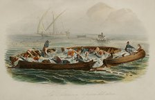 Tuna fishing, 1856. Creator: Edouard Travies.