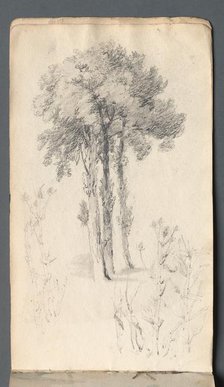 Sketchbook: Tree Study, 1814. Creator: Samuel Prout (British, 1783-1852).
