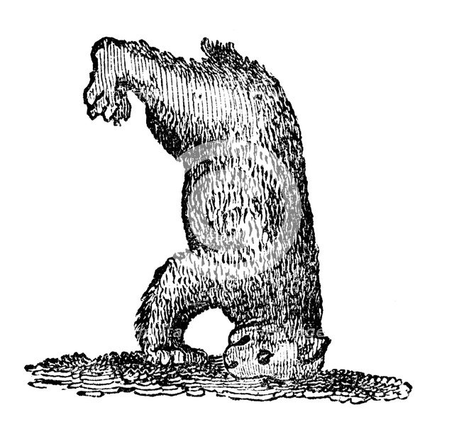 A bear standing on his head, 14th century, (1833). Artist: Unknown