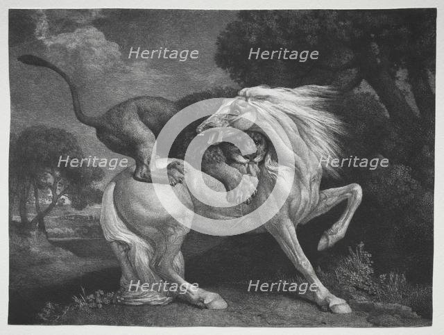 A Horse Attacked by a Lion, 1788. Creator: George Stubbs (British, 1724-1806).