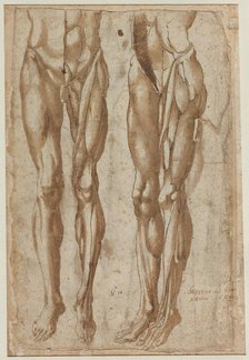 Two Studies of a Flayed Man, 1554. Creator: Bartolommeo da Arezzo (Italian, 1578).