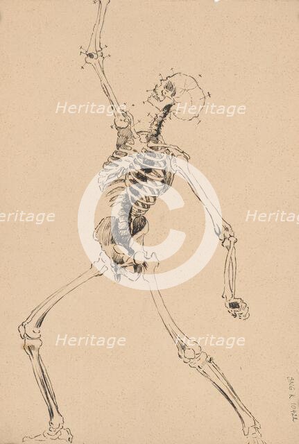 Study of a human skeleton, 1880-1904. Creator: Janos Fadrusz.