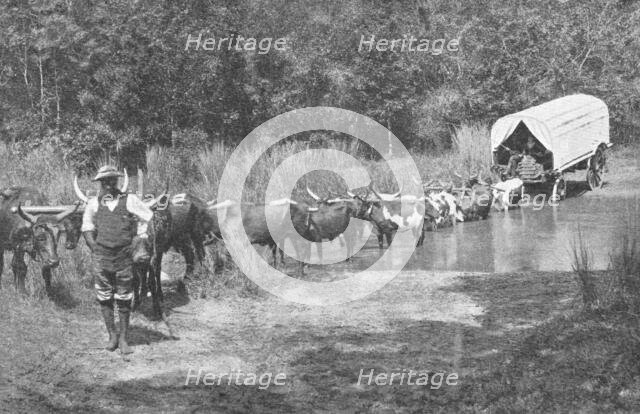 ''Passage d'une riviere au Natal; Afrique Australe', 1914. Creator: Unknown.