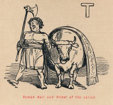 'Roman Bull and Priest of the period', 1852. Artist: John Leech.