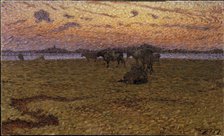 Cows on the Beach, 1909. Creator: Nils Kreuger.