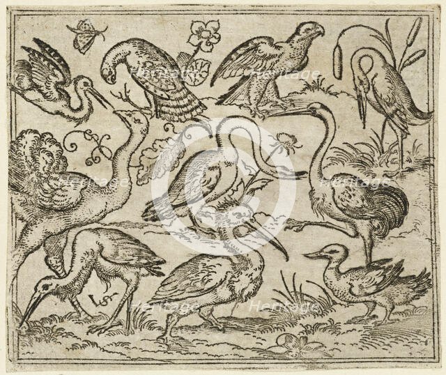 Ostrich on left side with nine other birds, including a heron and a pelican..., 1557. Creator: Virgil Solis.