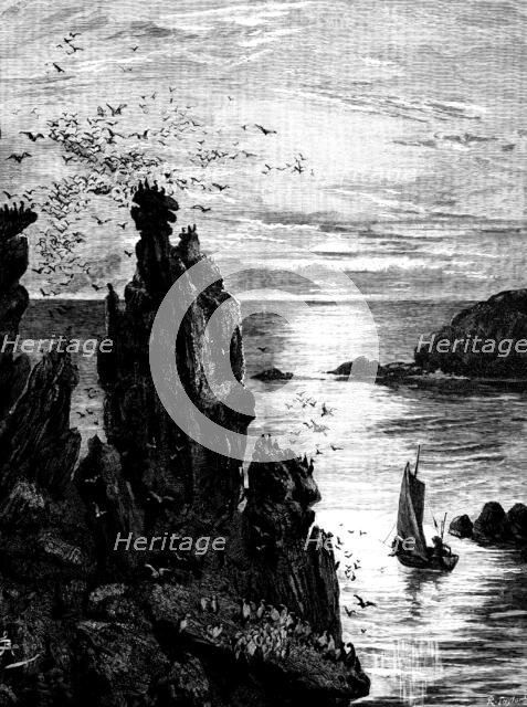 There in the dying light the puffins swam...and seagulls screamed...overhead, 1890. Creator: R. Taylor.
