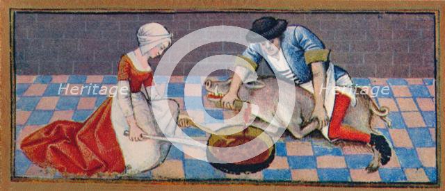 November - slaughtering the pig, 15th century, (1939). Creator: Robinet Testard.