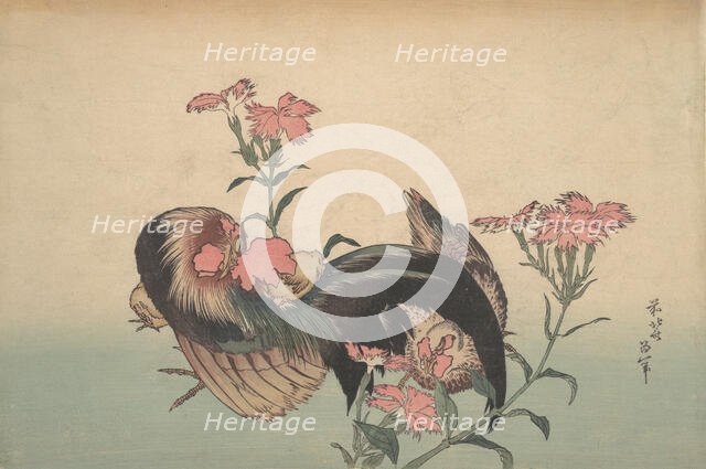 Cock, Hen, and Nadeshiko (Dianthus Superbus). Creator: Hokusai.