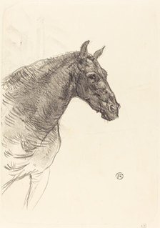 Old Horse (Le vieux cheval), 1897. Creator: Henri de Toulouse-Lautrec.