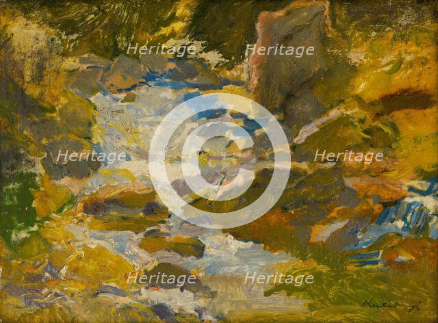 Stream in a forest, c1900. Creator: Alexander Kubinyi.