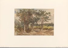 Tree group in the forests near Driebergen, c.1855-c.1865. Creator: Charles Rochussen.