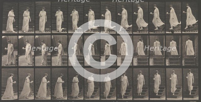 Animal Locomotion. An Electro-Photographic Investigation... of Animal Movements. Commence..., 1880s. Creator: Eadweard J Muybridge.