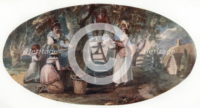 'Gathering Fruit', late 18th century.Artist: William Hamilton