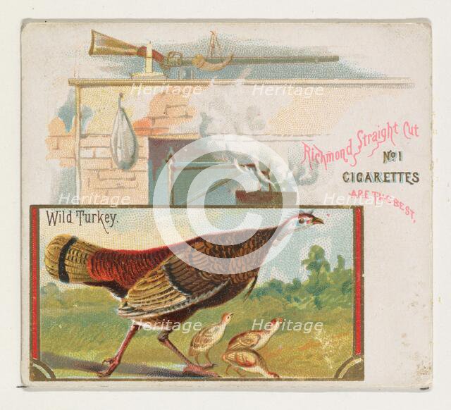 Wild Turkey, from the Game Birds series (N40) for Allen & Ginter Cigarettes, 1888-90. Creator: Allen & Ginter.