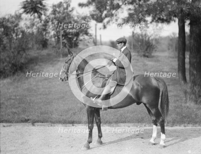 Unidentified man riding Chesty, between 1911 and 1936. Creator: Arnold Genthe.