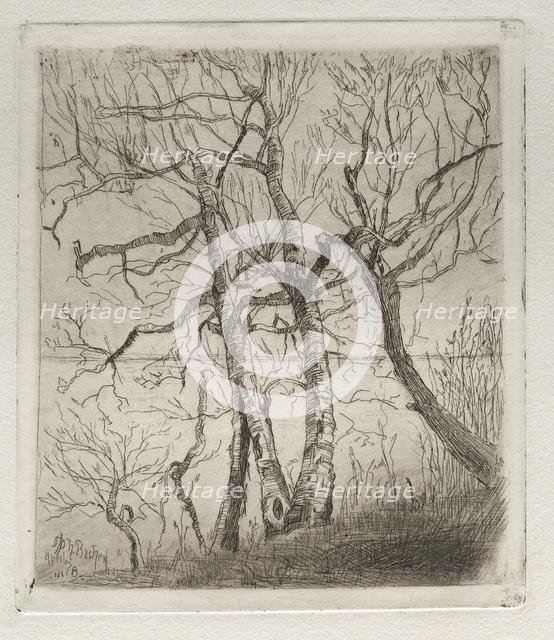 Woods by the Lake, 1878. Creator: Otto H. Bacher (American, 1856-1909).