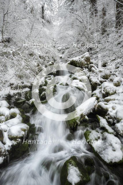 Winter Dream. Creator: Joshua Johnston.