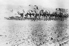 Camel train, Mosul, Mesopotamia, 1918. Artist: Unknown