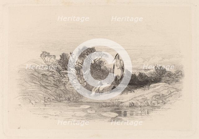 Les Deux Herons. Creator: Karl Bodmer.