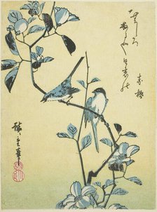 Birds on camellia branch, 1830s. Creator: Ando Hiroshige.