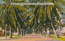 'Beautiful Palm-Lined Drive in Navy Yard, Key West, Florida', c1940s. Artist: Unknown.