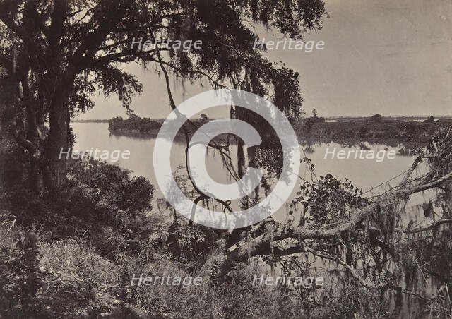 Savanah River, Near Savanah, Georgia, 1860s. Creator: George N. Barnard.