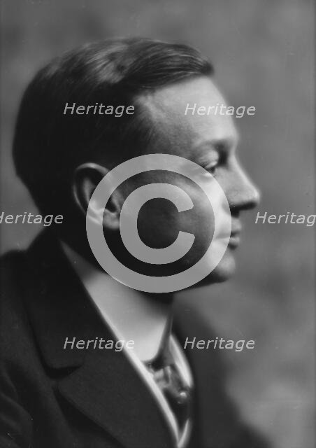 Allan, Mr., portrait photograph, 1914. Creator: Arnold Genthe.