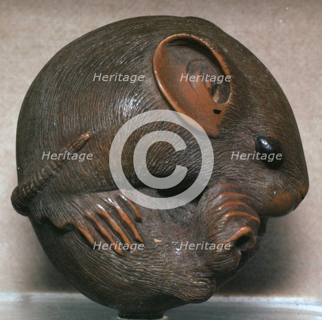 Japanese Netsuke of a rat, 19th century. Artist: Unknown