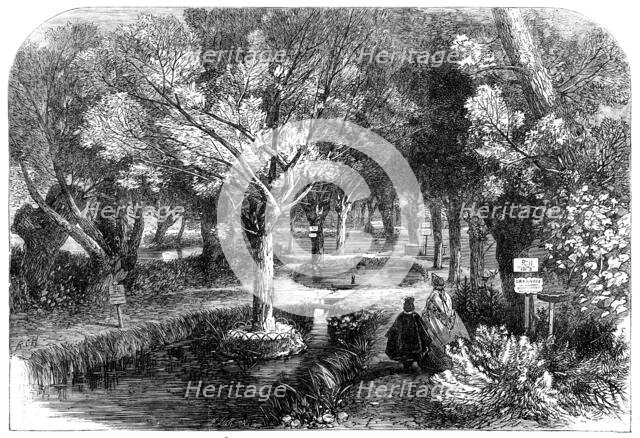 Experimenting ponds at the Huningue Fish Nurseries, France, 1864. Creator: Mason Jackson.