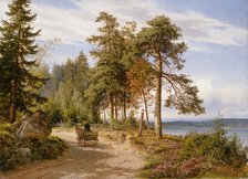 A road in Finland, 1865. Creator: Hjalmar Munsterhjelm.