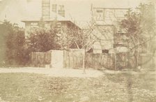 Tree in Yard, 1850s. Creator: Attributed to Samuel Buckle (.