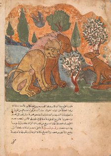 The Lion king, With his Mother, Receives Dimna, Folio from a Kalila wa Dimna, 18th century. Creator: Unknown.