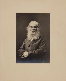 Walt Whitman, 1873. Creator: Unknown.