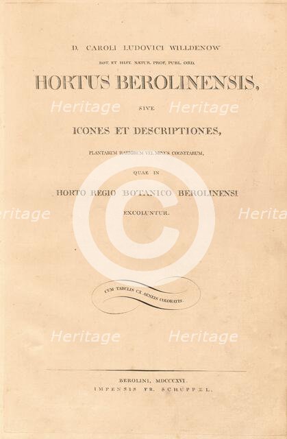 Hortus Berolinensis, 1816. Creators: Carl Ludwig Willdenow, Friedrich Guimpel.