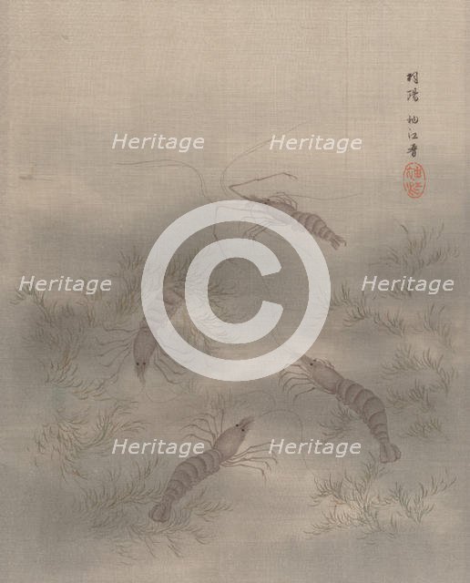 Shrimp (Ebi), ca. 1890-92. Creator: Seki Shuko.