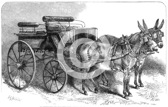 Pair of donkeys in harness exhibited by Miss Burdett Coutts...Agricultural Hall, Islington, 1865. Creator: Unknown.