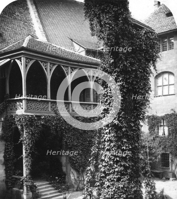 Lime tree in a courtyard, Nuremberg, Bavaria, Germany, c1900s.Artist: Wurthle & Sons