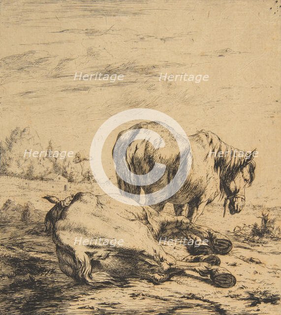 Two Horses, 1850. Creator: Charles Meryon.