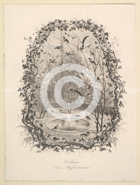 The Sparrow Aviary, 1843. Creator: Charles Francois Daubigny.