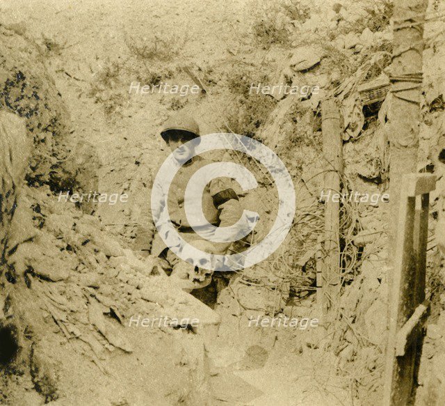 Skull found buried in the trenches, c1914-c1918. Artist: Unknown.