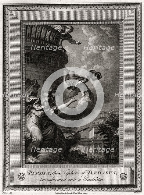 'Perdix, the Nephew of Daedalus, transformed into a Partridge', 1774. Artist: W Walker