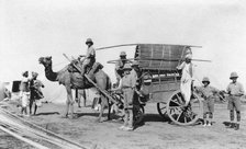 A camel cart, India, 1916-1917. Artist: Unknown