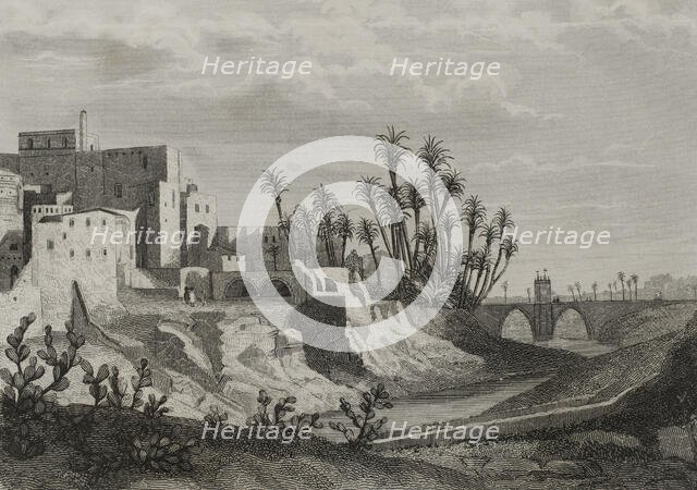 Elche, Alicante province, Spain, 1853.  Creator: Antonio Roca Sallent.