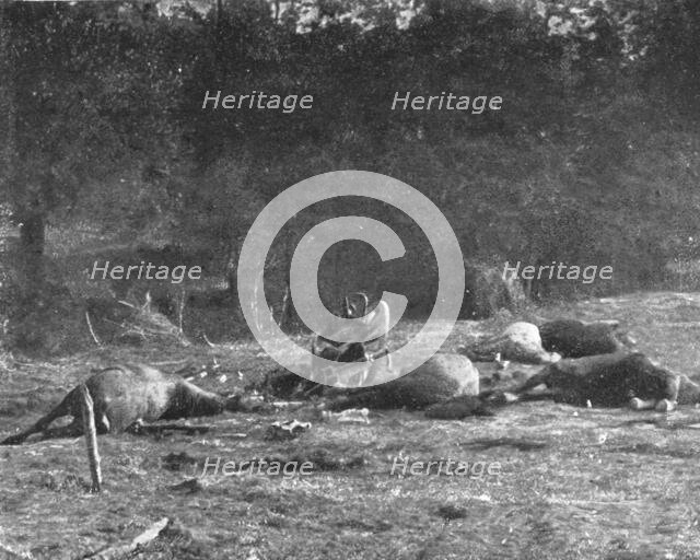 'Scenes de Guerre; Au cours la poursuite, un de nos obus tombe sur un caisson allemand', 1914 Creator: Unknown.