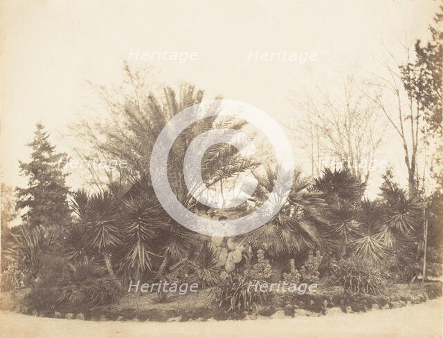 Pincian Garden, Rome, 1853-56. Creator: Possibly by Jane Martha St. John.